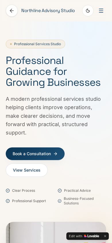 Mobile screenshot of the Professional Services demo website